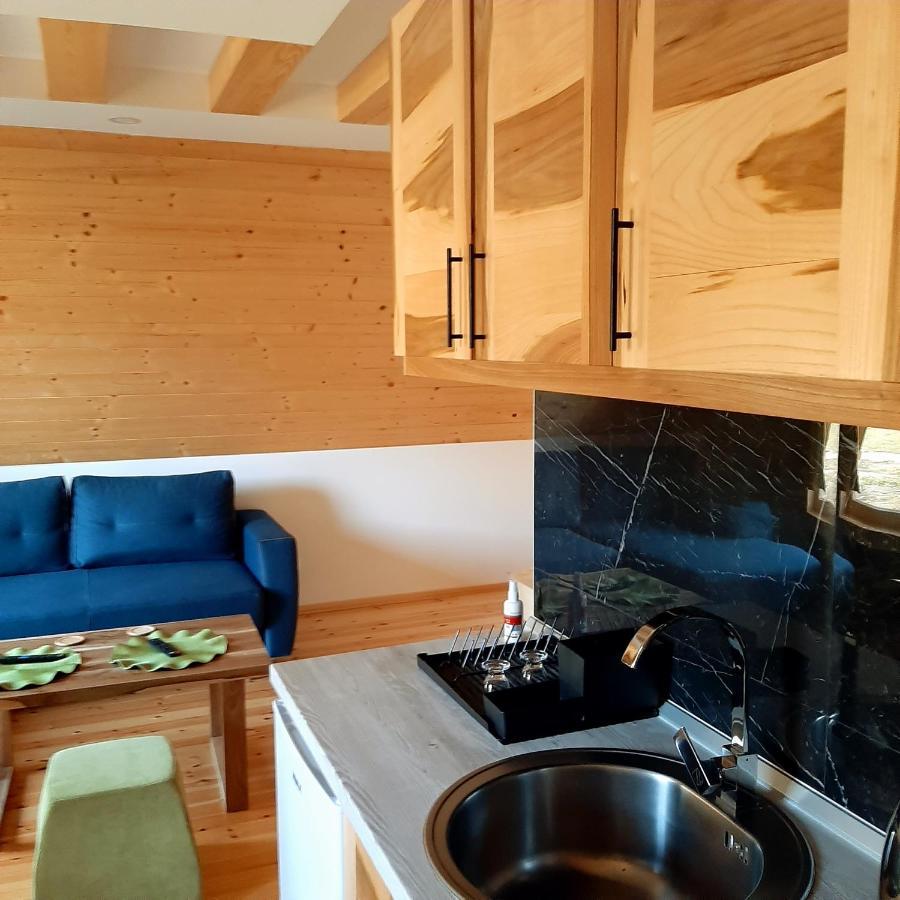 Holiday Home Ella Mokra Gora - Apartman Ella المظهر الخارجي الصورة